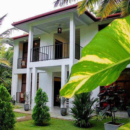 Manike Lodge Хабарана Екстериор снимка
